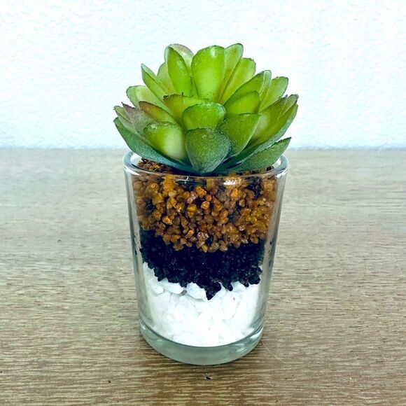 Succulent Plant Tier Tray Decor - Picture 1 of 3